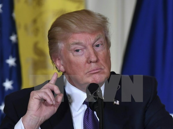 Donald Trump assure que le problème nord-coréen «sera traité» - ảnh 1